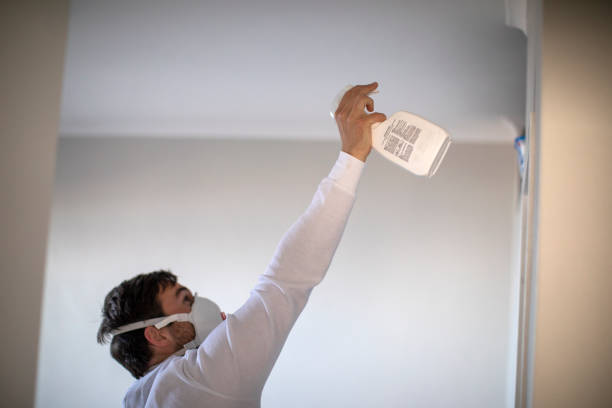 Best Mold Removal Specialists  in Tryon, NC