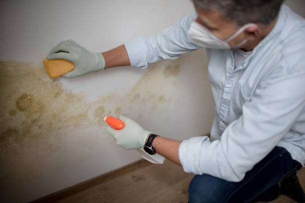 Best Mold Testing  in Tryon, NC