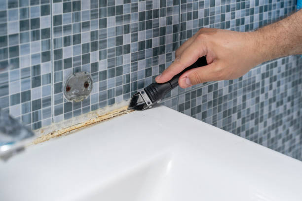 Best Emergency Mold Removal  in Tryon, NC